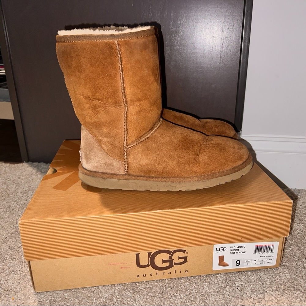 Chestnut Uggs